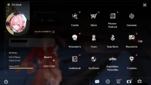 Wuthering Waves - Aemeath S4 + Arma + Lupa + Arma + 5*...... - Outros