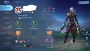 Conta Rica Full Acesso Mobile Legends 85 Skins, Promoção