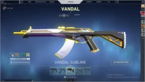 CONTA VALORANT, 3 PASSES E VÁRIAS SKINS