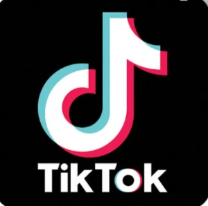 Conta tiktok 1.200+ seguidores - Redes Sociais