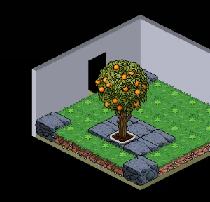 Pé De Laranja - Habbo Americano