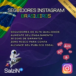 SEGUIDORES BRASILEIRO INSTAGRAM