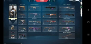 Vendo Conta valorant com skin