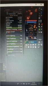 Druid 217 Lobera - Tibia