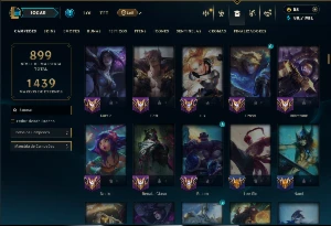Mestre com TODOS os Champs e 238 Skins ( SUP / ADC ) - League of Legends LOL