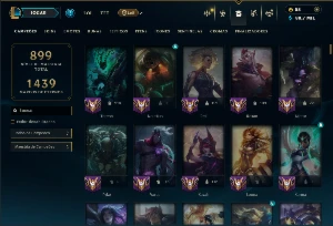Mestre com TODOS os Champs e 238 Skins ( SUP / ADC ) - League of Legends LOL