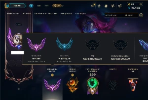 Mestre com TODOS os Champs e 238 Skins ( SUP / ADC )