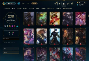 Mestre com TODOS os Champs e 238 Skins ( SUP / ADC ) - League of Legends LOL