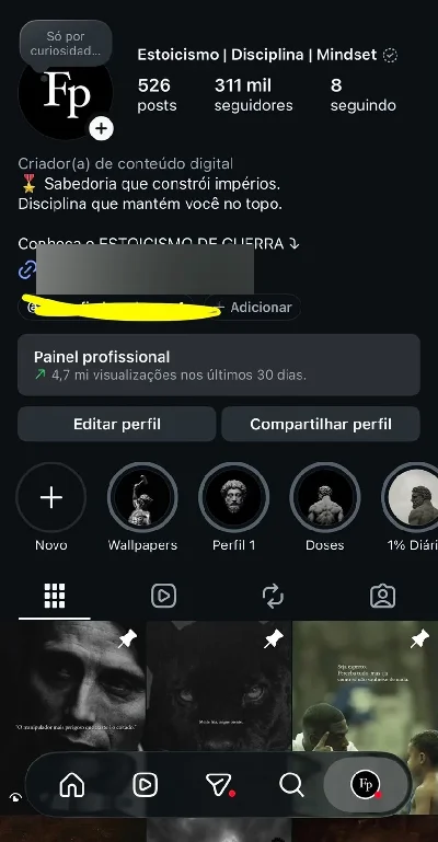 Conta instagram +300k seguidores - Redes Sociais