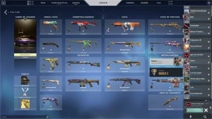 CONTA VALORANT OURO 1- TOP - R$500,00 GASTO + PASSES LvL 335