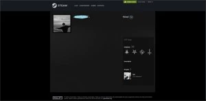 CONTA STEAM PRONET CSGO GC19 COM PERFIL MUITO BOM - Counter Strike