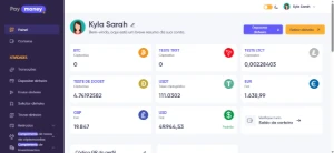 PayMoney - Script Plataforma de Banco Digital Fintech (SAAS) - Outros