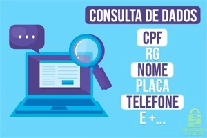 CONSULTA DE DADOS PESSOAIS - CPF, CEP, NOME, TELEFONE ETC - Digital Services