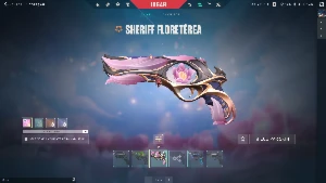 Conta valorant com diversas skins e pacotes comprados