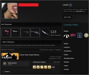 Steam lvl 55 | CS Prime | Medalhas | 1k em skins