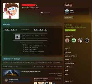 Conta Supremo - 940 Horas De Cs - Lvl 23 Steam - 1 Medalha - Counter Strike