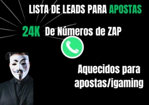24K de números aquecidos para ZAP(leads) - Outros