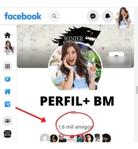 Conta Facebook - Redes Sociais