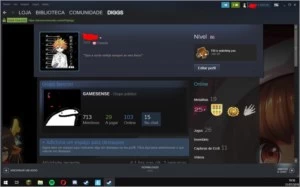 Conta steam
