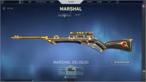 VENDO [CONTA VALORANT] TODOS OS PERSONAGENS, SKINS E ETC.