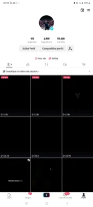 Conta Tiktok Com 2.1 Milhões De Seguidores - Redes Sociais
