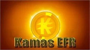 1.000.000 Kamas Wakfu - Servidor Efrim
