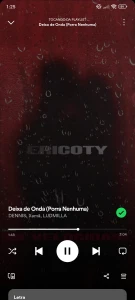 Spotify Premium - Vitalicio - Assinaturas e Premium