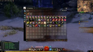 CONTA GUILD WARS 2 COM 3 EXPASÕES (LEIA A DESCRIÇÃO) - Jogos (Mídia Digital)