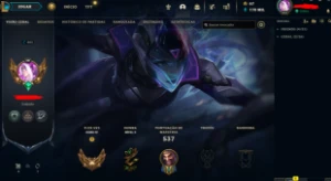 Conta LOL, - FULL ACESSO - LVL 805 - 240 Skins - TODOS Champ - League of Legends