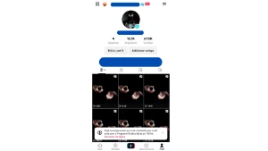 Conta Tiktok 16 Mil Seguidores| Melhor Preço Do Mercado !!! - Redes Sociais
