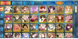 Fate Go Na Premium Account - Fate Grand Order