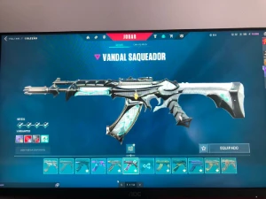 Conta de Valorant com várias skins