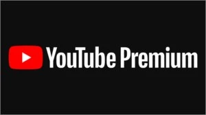 YOUTUBE PREMIUM 6 MESES - 10 DISPOSITIVOS