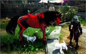 NOVA lvl 63 292 PA kutum com EMAIL - Black Desert