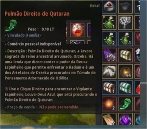 NOVA lvl 63 292 PA kutum com EMAIL - Black Desert