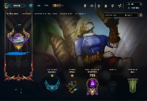 Conta lol / tudo alteravel / skins 365 - League of Legends
