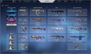 CONTA VALORANT D3,DIVERSAS SKINS +PASSES +1100 DE VP