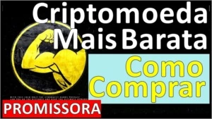 300.000 MIL STRONGHAND CRYPTOMOEDA TIPO BITCOIN, DOGECOIN - Others