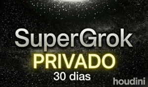 Grok SuperGrok de 15 dias Conta Privada - Entrega Rapida - Premium