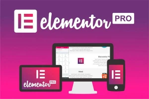 Elementor Pro atualizado 21/09/2023 - Softwares e Licenças