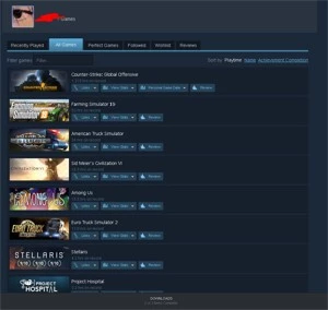 Conta Steam lvl 41 e vários jogos pagos+prime cs:go 1,319hrs - Counter Strike