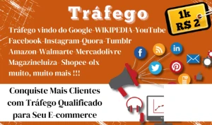 Tráfego com Visibilidade Direta do Google e Redes Sociais, A - Others