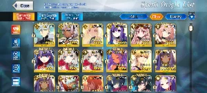 Fate Grand Order NA 11ssr - Outros