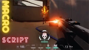VALORANT - Macro Script - No Recoil TODOS OS MOUSES