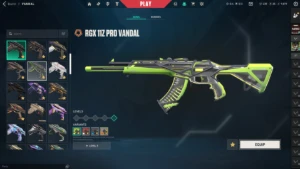 Conta Valorant Radiante 4K Gastos/ Champions 2024 / Foice +