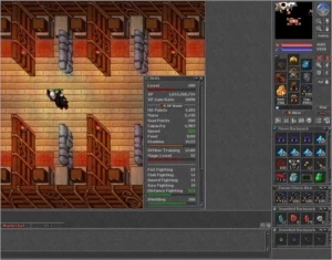 Conta Tibia, Royal Paladin lv 400