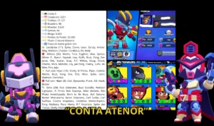 Brawl Stars - As Melhores Contas Exclusivas - Com Desconto!!