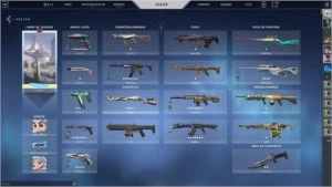 conta valorant com muita skin abaixo do valor correto