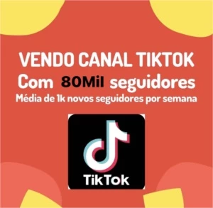 PERFIL TIKTOK 80K FOLLOWS - Redes Sociais