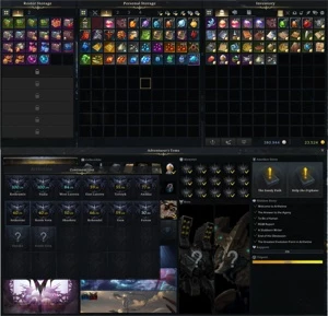 Vendo conta Lost Ark SA servidor Vern